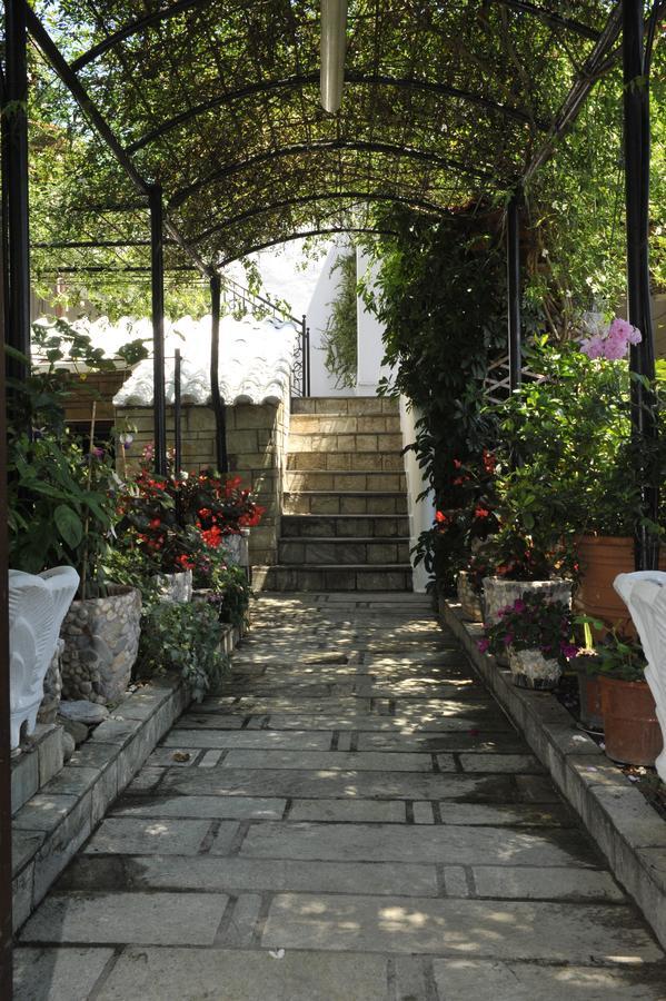 Chrissomalli Sofia Studios مدينة سكياثوس المظهر الخارجي الصورة